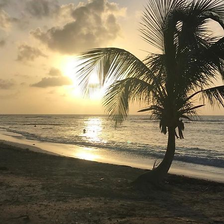 Studio Tahiti Vue Mer Saint-Francois  Exterior foto